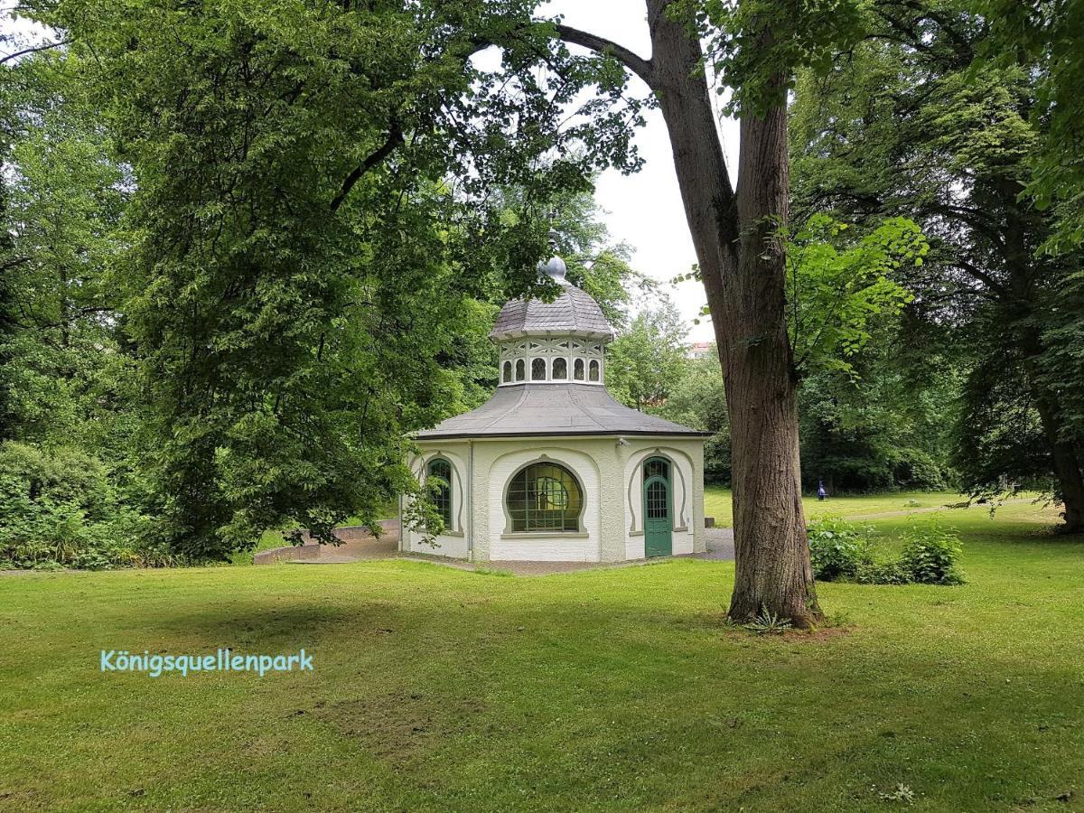 Ferienwohnung Koenigsquellenpark Bad Wildungen Buitenkant foto